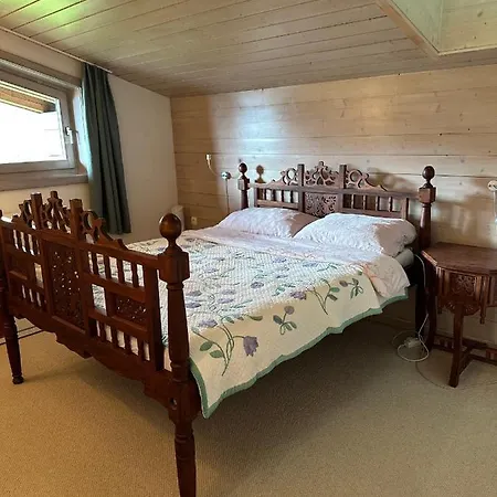 Haus Wenger Mountain View & Swimming Pool Apartment Kaprun